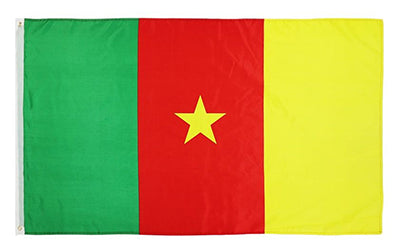 Drapeau Cameroun