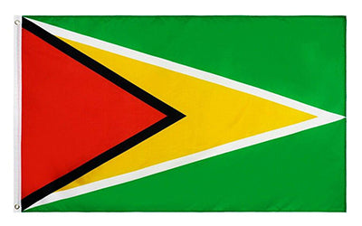 Drapeau Guyana