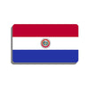 Broche drapeau Paraguay