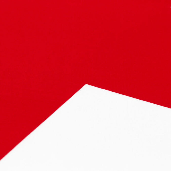 Grand drapeau Corée du Nord