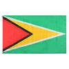 Drapeau Guyana extérieur