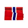 Drapeau Norvège Géant