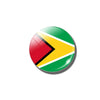 Magnet drapeau Guyana