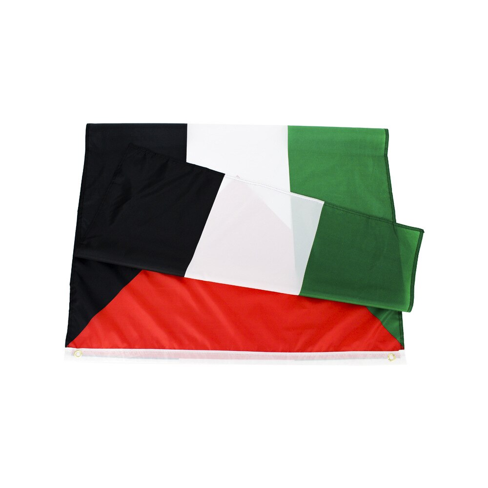 Drapeau Palestine extérieur